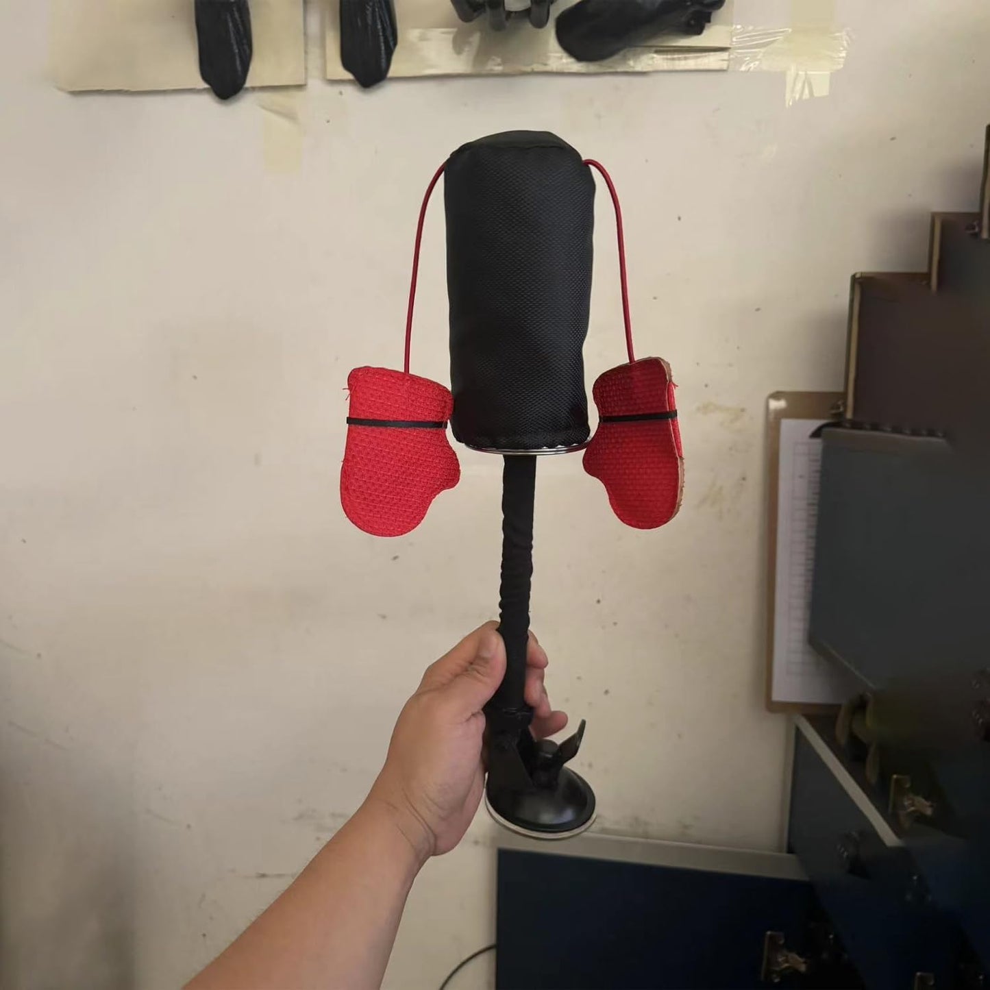 😸 Let Your Kitty Become a Little Boxer!