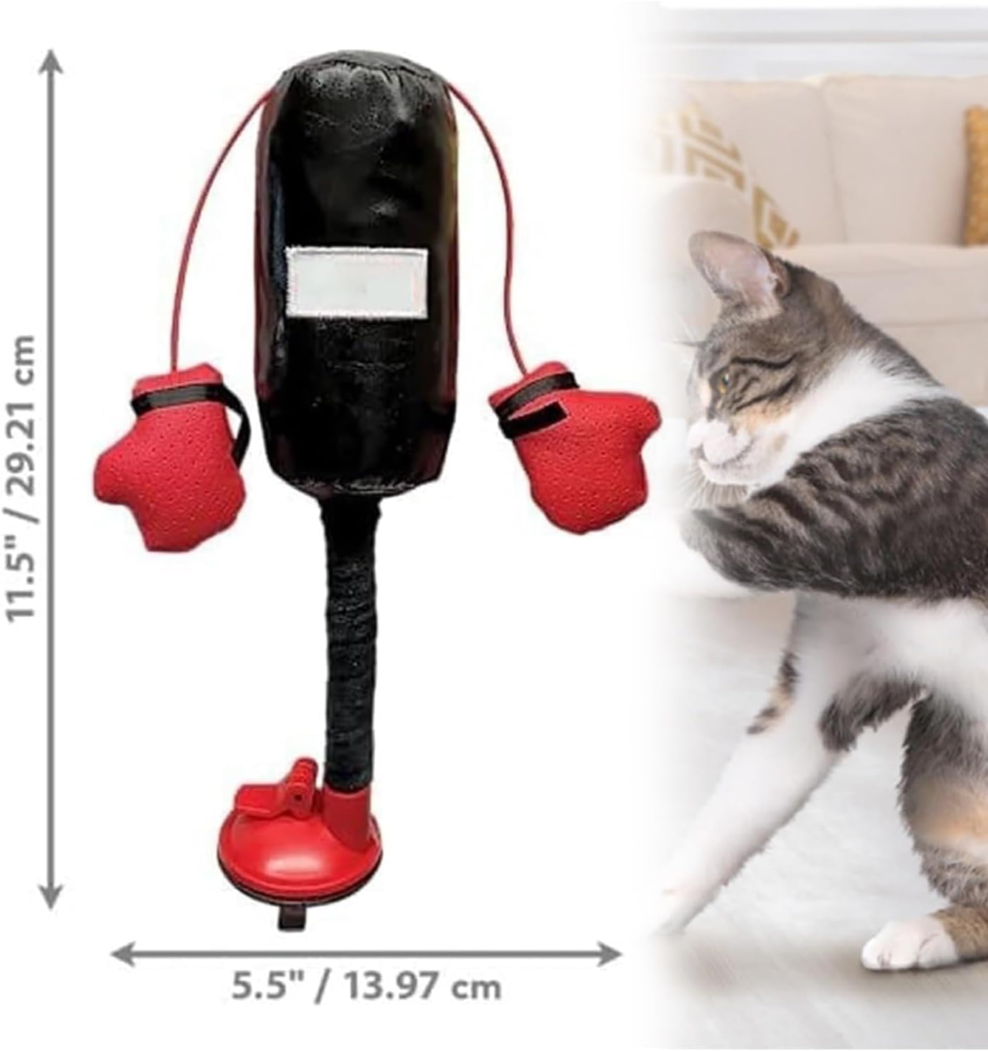 😸 Let Your Kitty Become a Little Boxer!