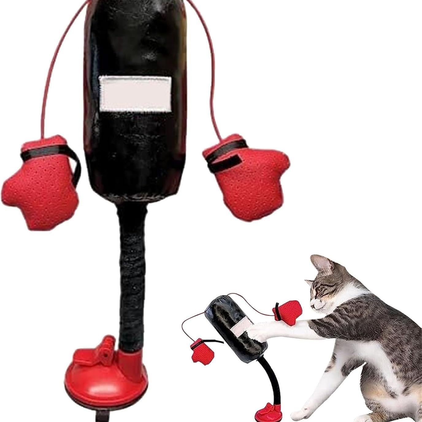 😸 Let Your Kitty Become a Little Boxer!