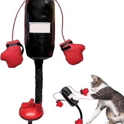 😸 Let Your Kitty Become a Little Boxer!
