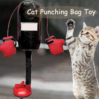 😸 Let Your Kitty Become a Little Boxer!